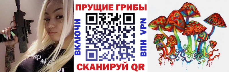 блэк спрут tor  Гаджиево  Псилоцибиновые грибы MAGIC MUSHROOMS 